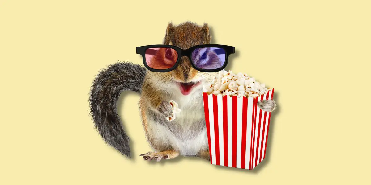 can squirrels eat popcorn