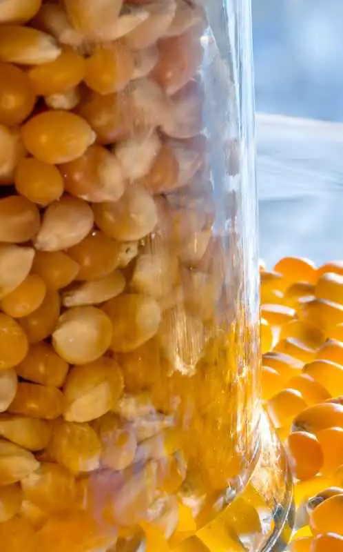 popcorn kernels in a jar