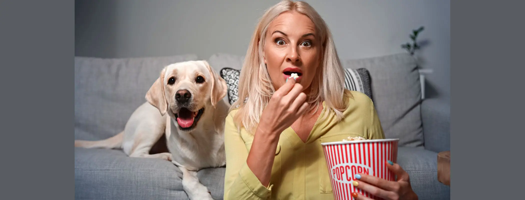 Can Popcorn Kill Dogs?
