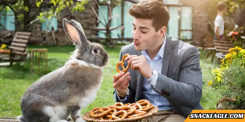 Can Rabbits Eat Pretzels? – What Do Veterinarians Say?